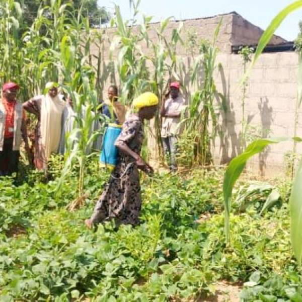 Enhancing Food Security and Self-Reliance for IDPs in Adamawa and Borno States 9.jpg
